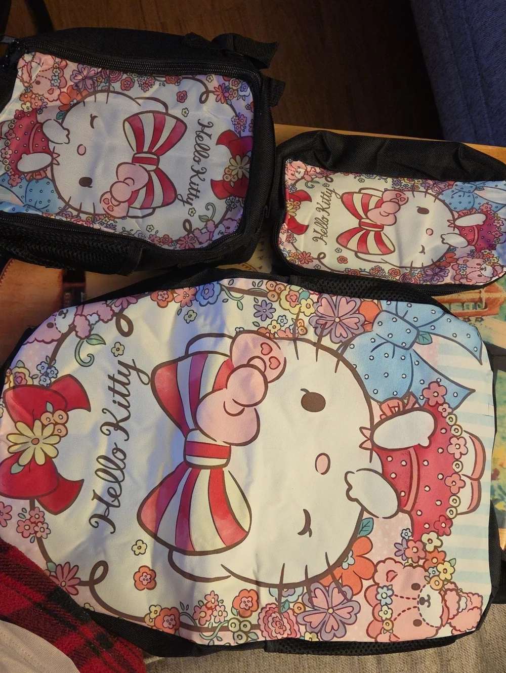 Hello Kitty Pink Blue Floral Backpack and Pouch Set And Lunch Box.